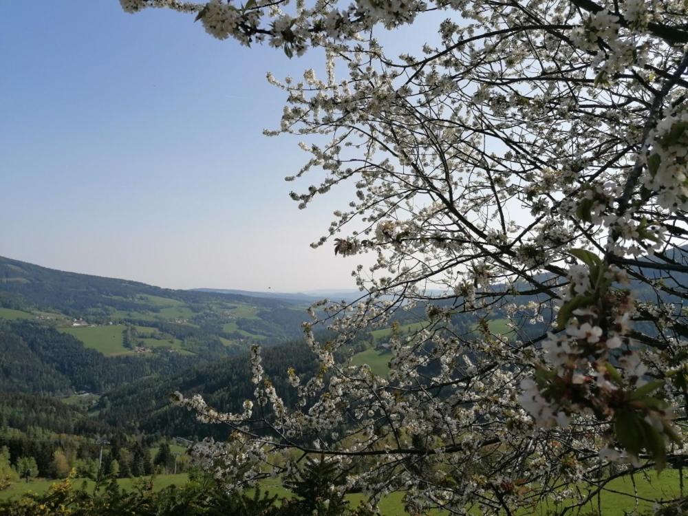 Alpengasthof Fernblick Mönichkirchen Exterior foto