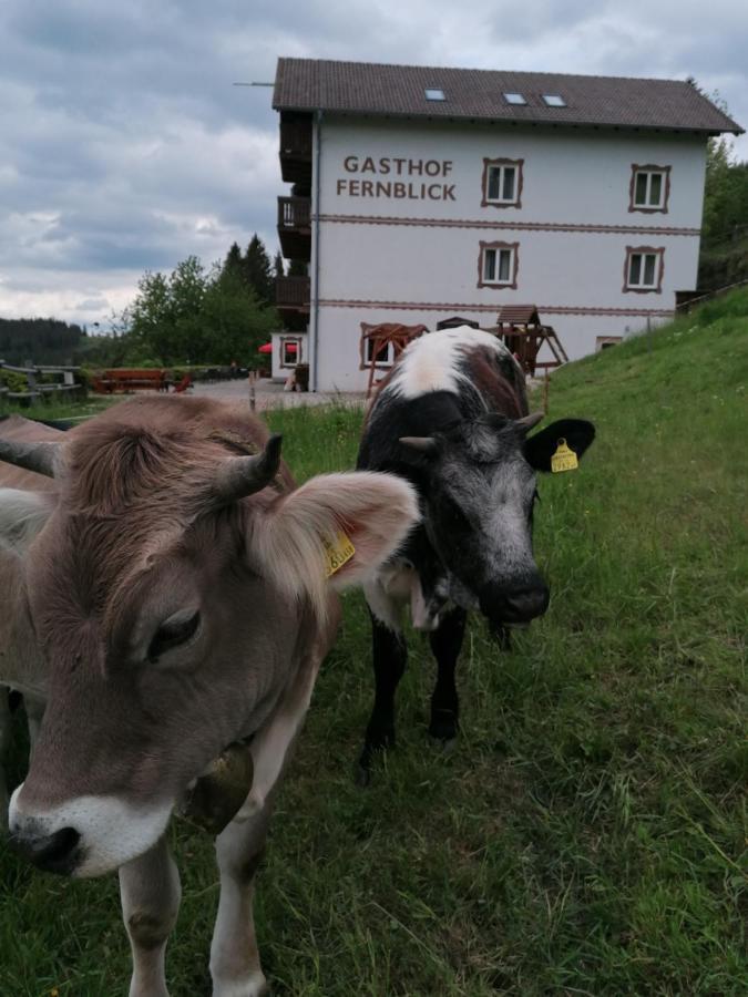 Alpengasthof Fernblick Mönichkirchen Exterior foto